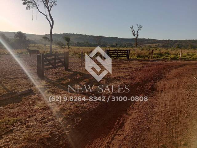 #12978 - Fazenda para Venda em Pontal do Araguaia - MT - 3