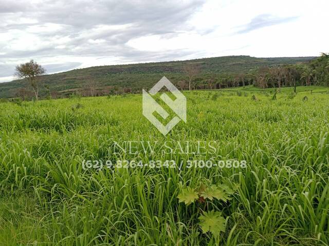 Fazenda para Venda em Pontal do Araguaia - 1