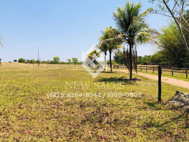 Sítio para Venda em Morro Agudo de Goiás - 2