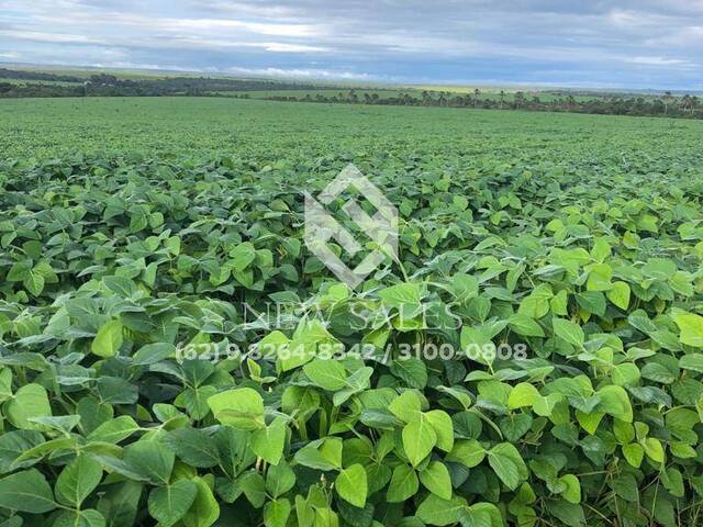 Fazenda para Venda em Jataí - 1