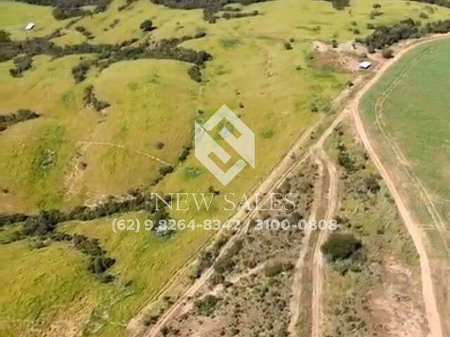 Fazenda para Venda em Ipameri - 2