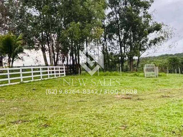 Chácara para Venda em Bela Vista de Goiás - 3