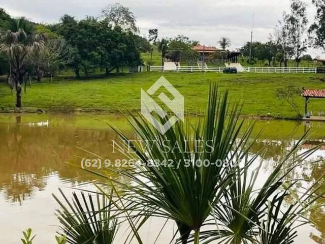 Venda em Zona rural - Bela Vista de Goiás