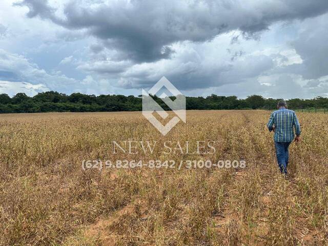 Fazenda para Venda em Abreulândia - 3