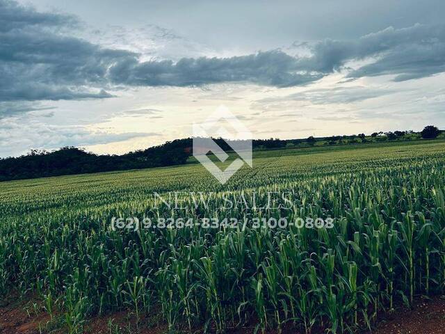 Fazenda para Venda em Araguaína - 1