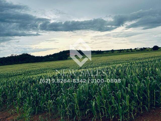 #12995 - Fazenda para Venda em Araguaína - TO - 3