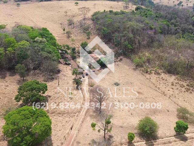 Chácara para Venda em Bela Vista de Goiás - 4