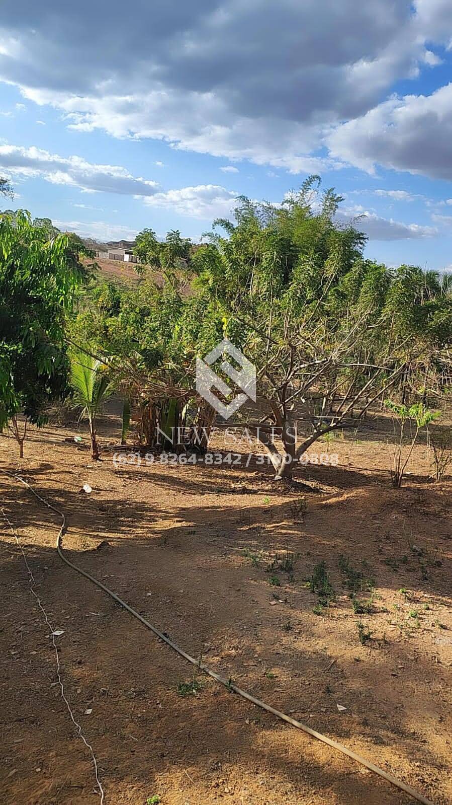 Fazenda à venda com 3 quartos, 5000m² - Foto 11