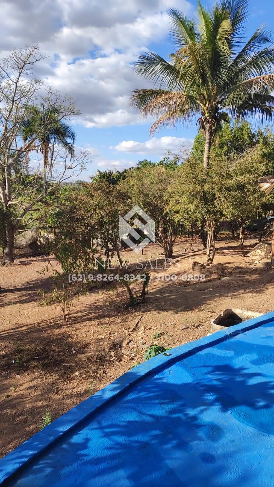 Fazenda à venda com 3 quartos, 5000m² - Foto 12