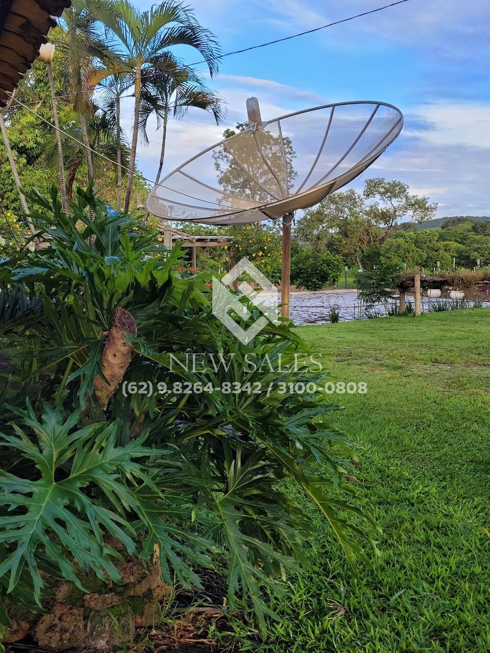 Fazenda à venda - Foto 6