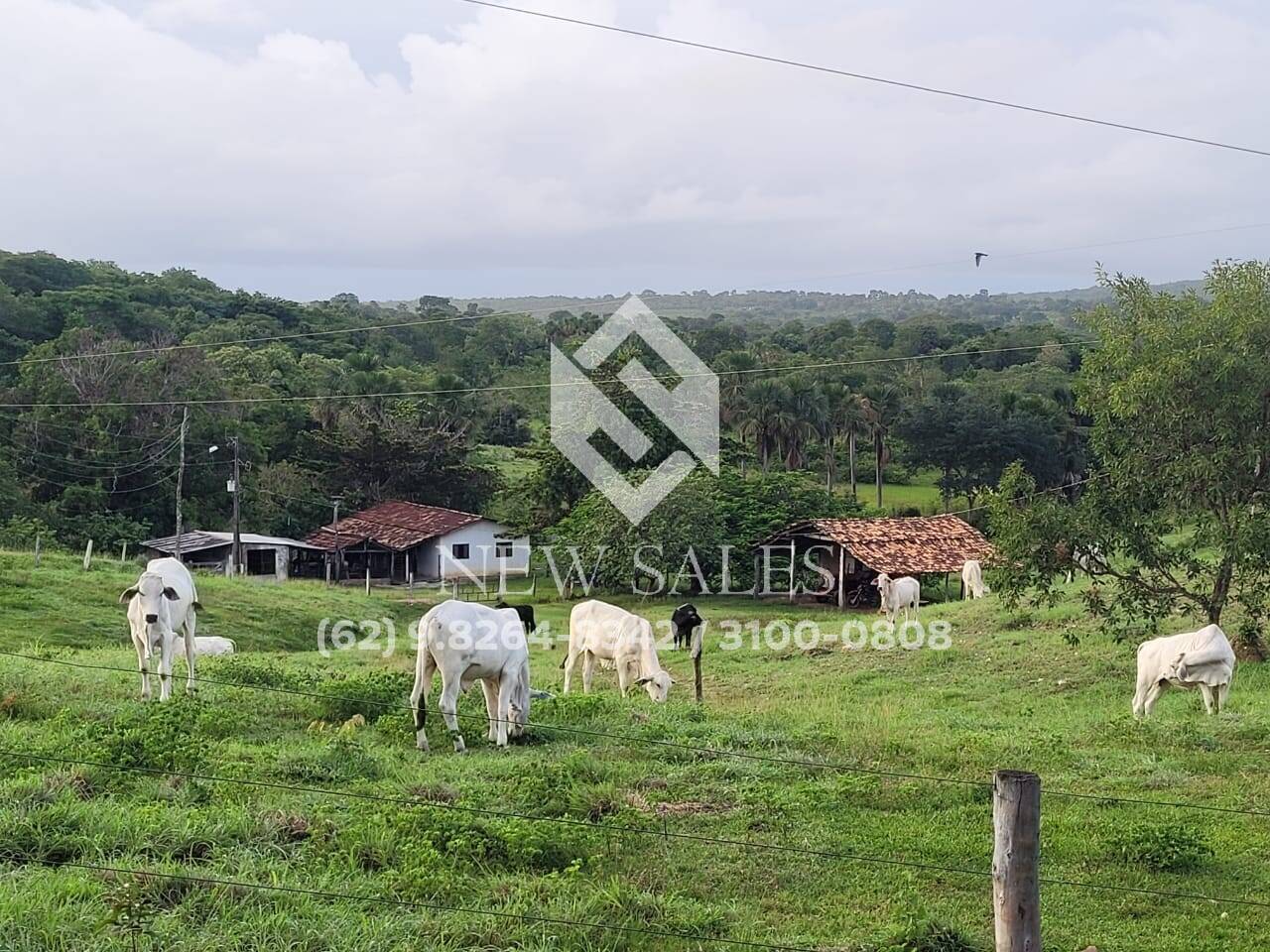 Fazenda à venda - Foto 9