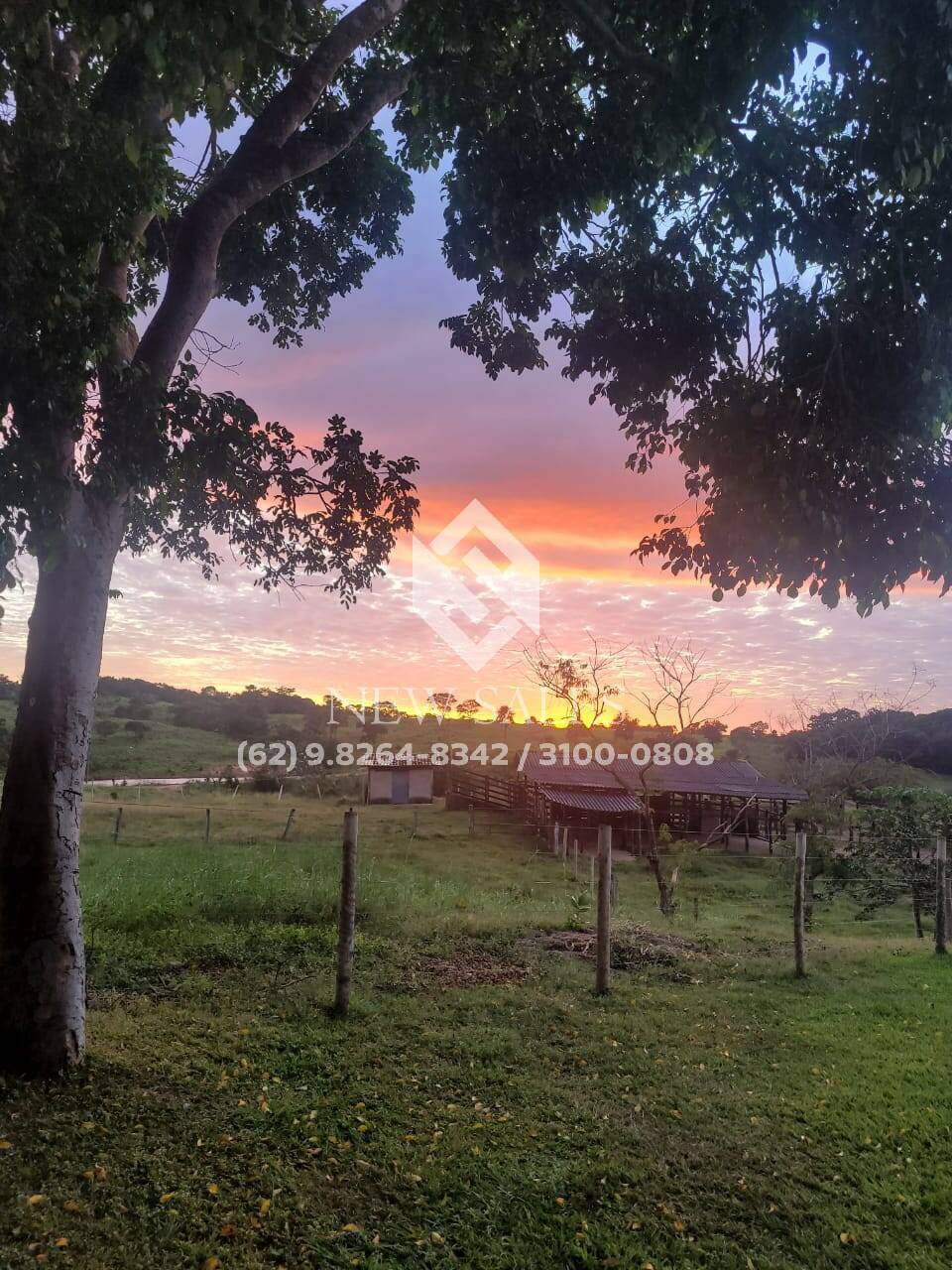 Fazenda à venda - Foto 18