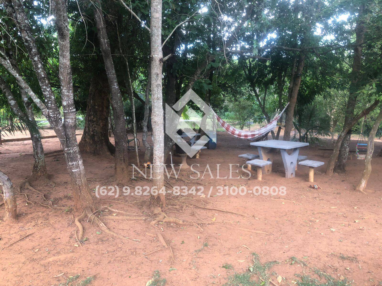 Fazenda à venda com 2 quartos, 11100m² - Foto 8